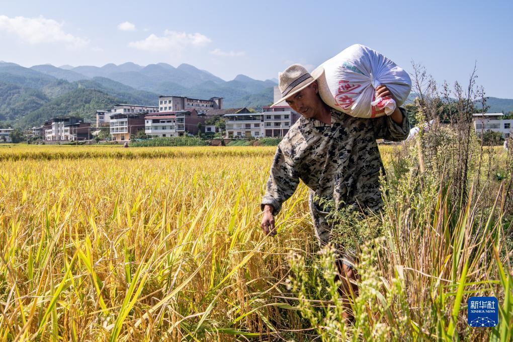 跳槽送彩金100可提款